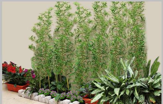 Những biểu tượng hút may mắn vào nhà