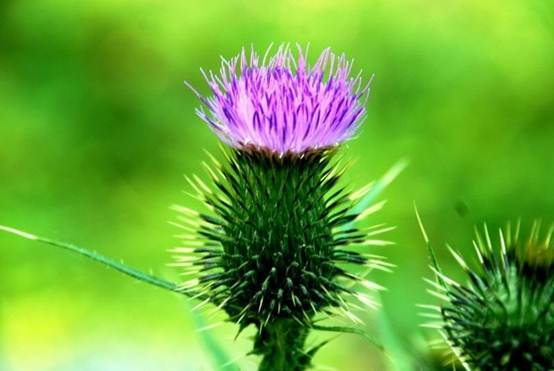 Những lỗi cấm kỵ trong phong thủy “xua đuổi” quý nhân