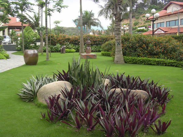 Cách bài trí sân vườn theo hướng nhà