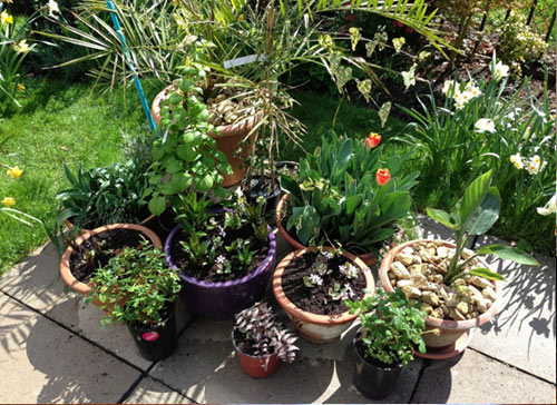 Nguyên nhân khiến tiền bạc một đi không trở lại - 2