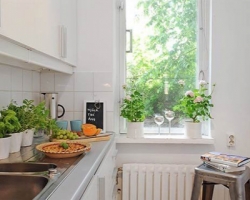 5 người tình xanh của phong thủy nhà bếp