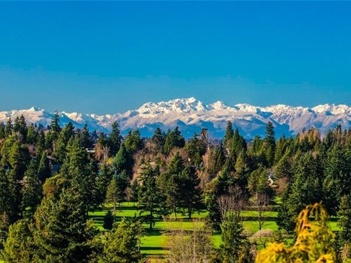 CEO Microsoft rao bán dinh thự triệu đô