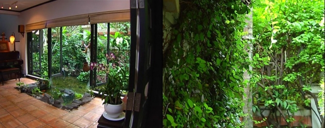 Ngây ngất với không gian xanh triệu đô của Diva Hồng Nhung