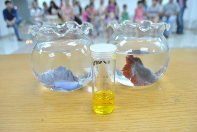 TPHCM: Người dân kêu trời với chất lượng một số chung cư