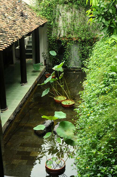 Ngây ngất với không gian xanh triệu đô của Diva Hồng Nhung